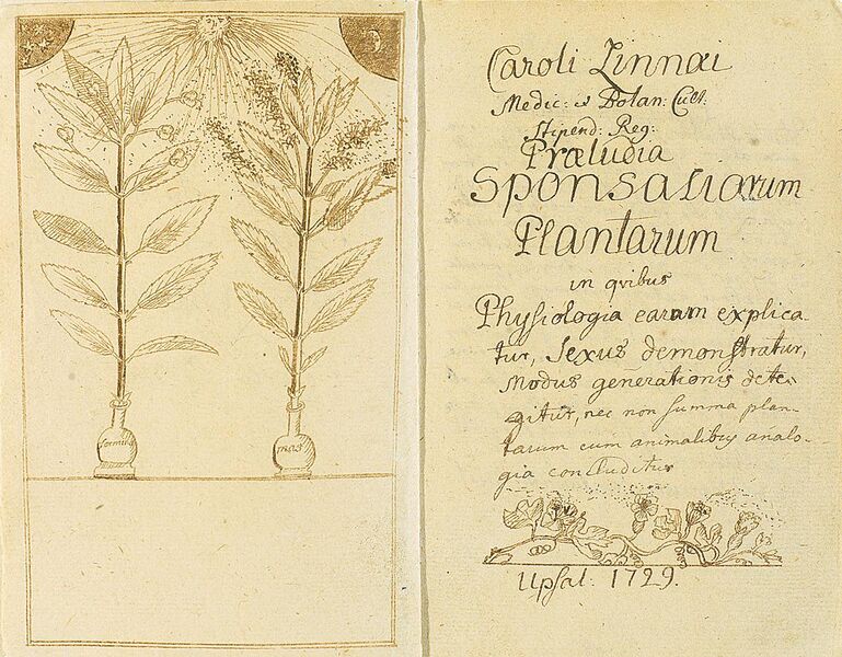 File:Linné-Praeludia Sponsaliorum Plantarum.jpg