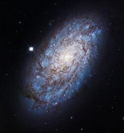 NGC 4298 cropped.jpg