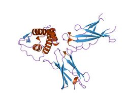 PDB 1iar EBI.jpg