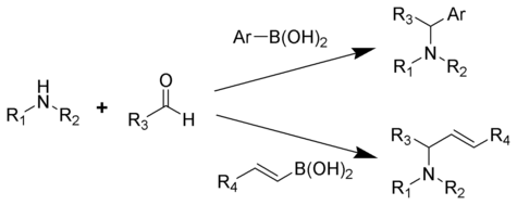 The Petasis reaction