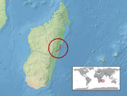 Phelsuma hoeschi distribution.png