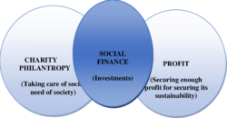 The-role-of-Social-Finance-source-author.png