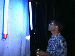 Ultraviolet trap entomologist.jpg
