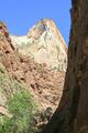 A view in Zion National Park.jpg