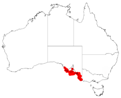 Acacia leiophyllaDistMap525.png