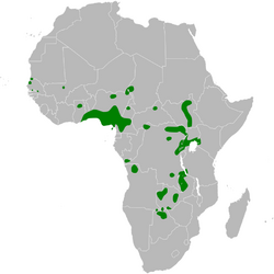 Acrocephalus rufescens distribution map.png