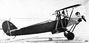 Arado S I Flight Magazine 1926-01-21.jpg