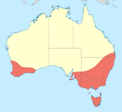 Austrolestes analis distribution map.svg