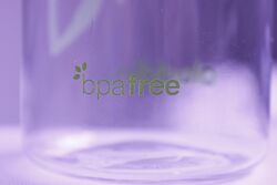BPA-Free Bottle.JPG