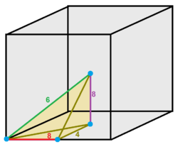 Eighth pyramidille cell.png