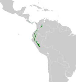 Euchrepomis callinota map.svg