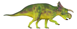 Furcatoceratops.png