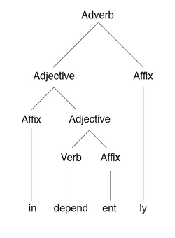 Independently morphology tree.png