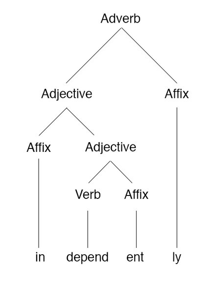 File:Independently morphology tree.png