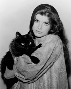 Katharine Ross 1966 photo with cat.jpg