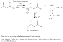 Mechanism 1st step 1.png