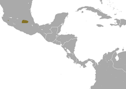 Mexican Long-tailed Shrew area.png