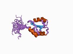 PDB 1bjx EBI.jpg