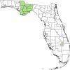 Map of Florida showing county borders with green shading on counties representing the distribution of Symphyotrichum plumosum: Central Florida Panhandle — counties of Calhoun, Franklin, Gadsden, Gulf, Jackson, Leon, Liberty, and Wakulla.