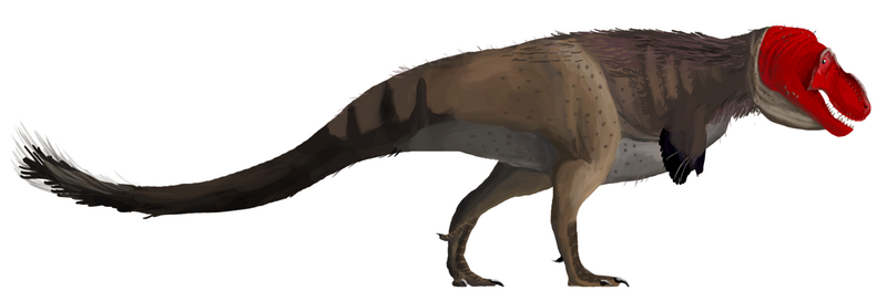 File:Tyrannosaurus rex mmartyniuk.png