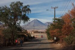 Licancabur seen from a tree-lined town road