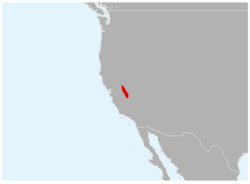 Anaxyrus canorus range map.png