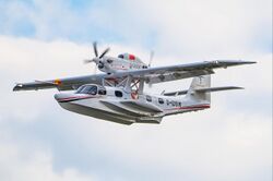 Dornier Seastar CD-2.jpg