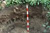 A red-and-white striped stick leans against a cut bank of soil. The soil has layers in colors from grey to brown and many plant roots. At the top of the image there are plants with large green leaves.