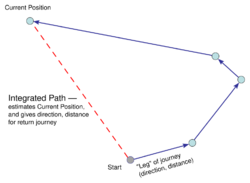 Path integration diagram.svg