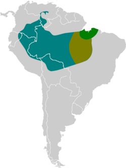 Psarocolius bifasciatus map.svg