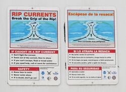 Rip current warning signs at Mission Beach.JPG