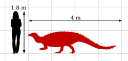 Scelidosaurus Size Comparison by PaleoGeek.svg