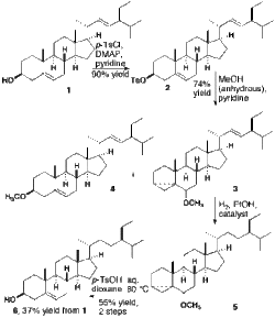 Synthesis of sitosterol.gif