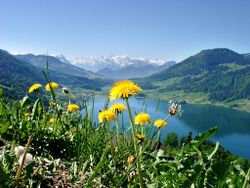 Wandern am Ägerisee.jpg