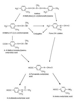 Amitraz Metabolism in Animals.jpg