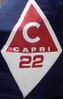 Catalina Capri 22 sailboat badge 4167.jpg