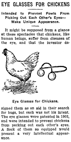 Eye Glasses For Chickens.png