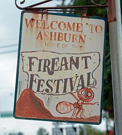 Fire Ant Festival Sign
