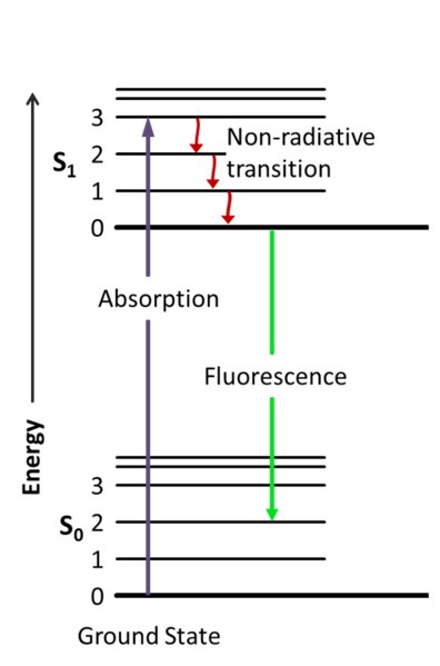 File:Jablonski Diagram of Fluorescence Only.png