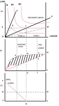 Land Labour Graph.jpg