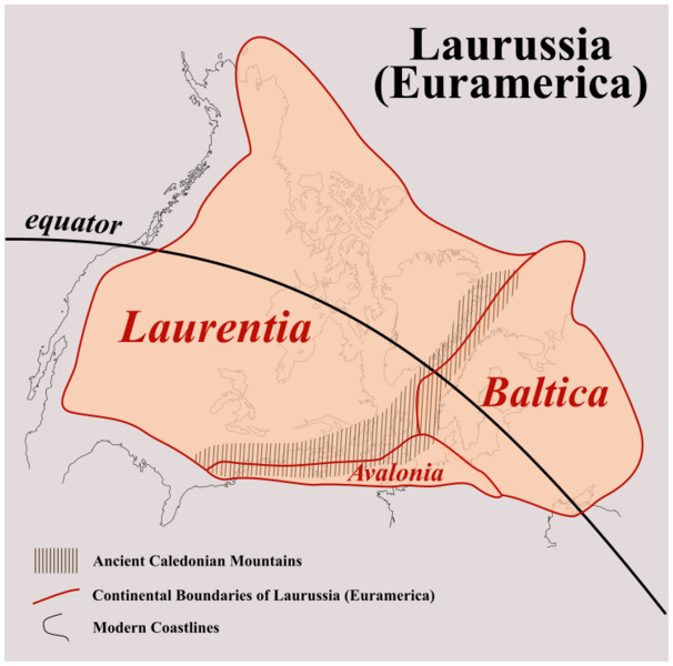 File:Laurussia Euramerica.svg