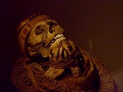 Muisca mummy - Museo del Oro, Bogotá.jpg