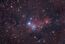 NGC 2264 Christmas Tree Nebula.jpg