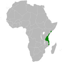 Phyllastrephus fischeri distribution map.png