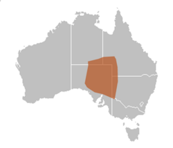 Rhynchoedura eyrensis geographic range uploaded by AmariCarden.png