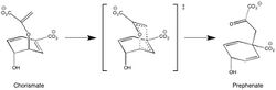 Chorismate Mutase Mechanism.jpg