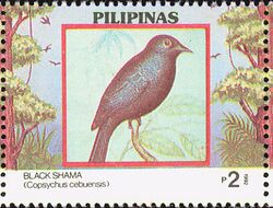 Copsychus cebuensis 1992 stamp of the Philippines.jpg