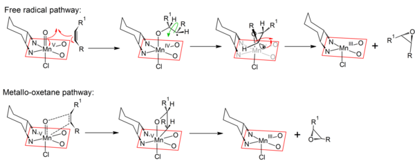 Mechanisms of the free-radical and metallo-oxetane pathways of the Jacobsen-Katsuki reaction