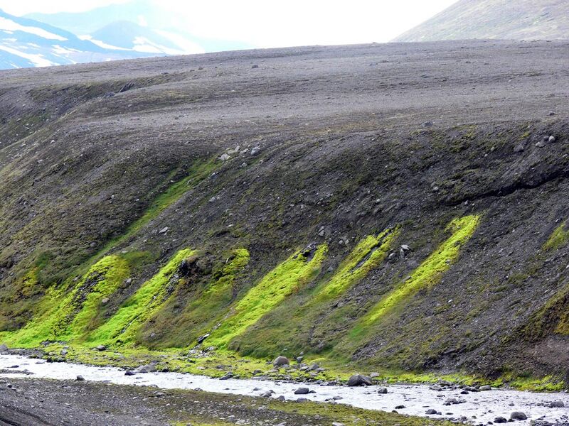 File:Moss (Iceland) 03.jpg