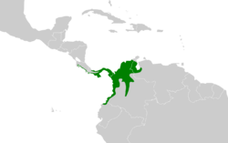 Myiarchus panamensis map.svg